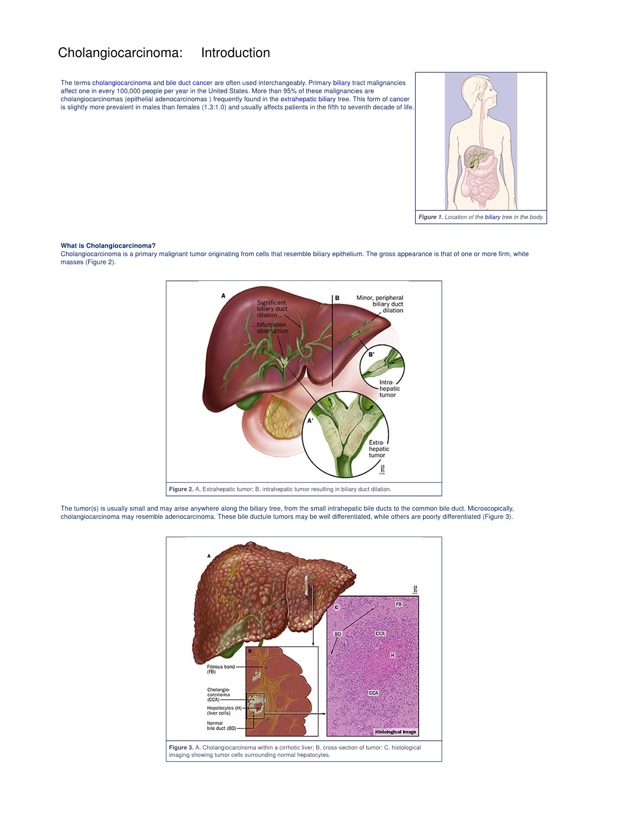 No preview available